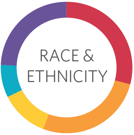 Race and Ethnicity Graph